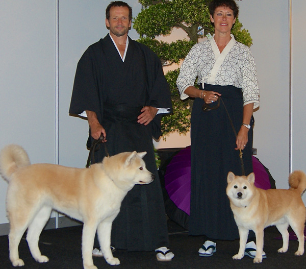 Akita, Japanse honden